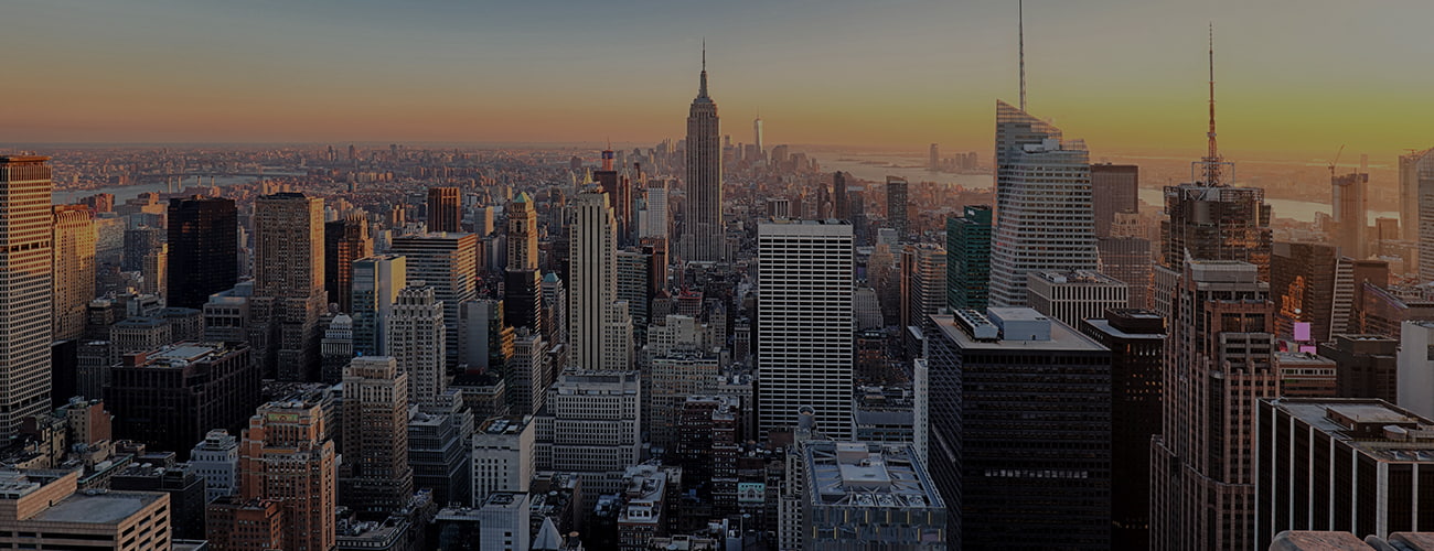 New York City Skyline